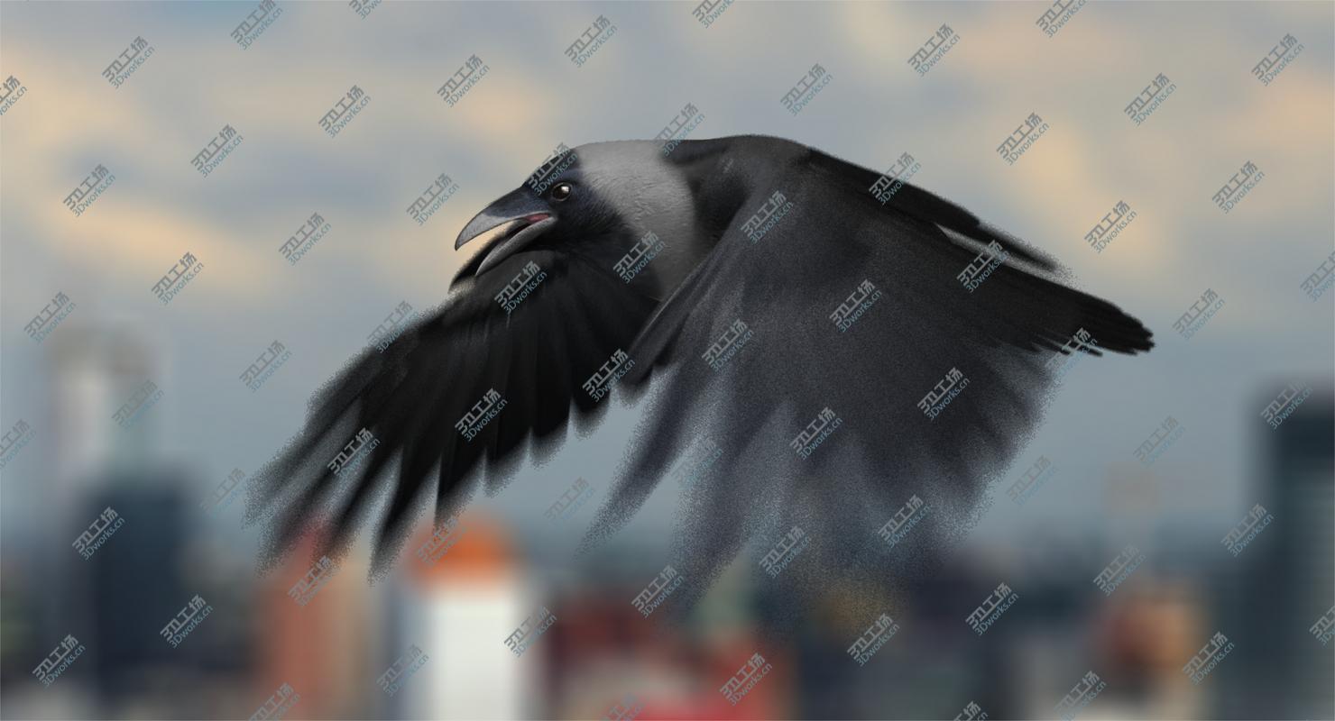 images/goods_img/2021040163/House Crow (Animated)/3.jpg